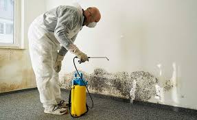 Best Biohazard Mold Removal  in Florence, CO