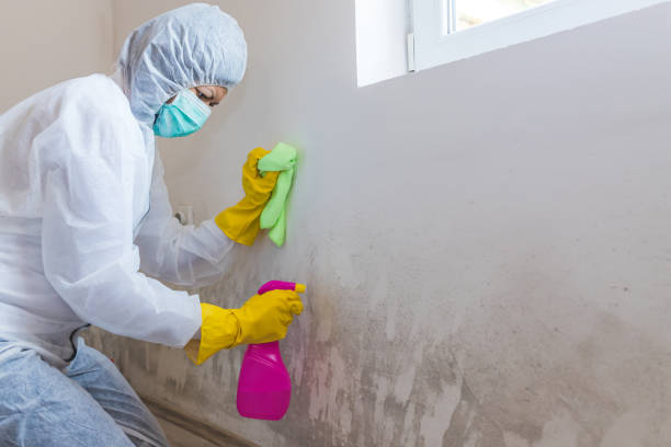 Best Water Damage & Mold Remediation  in Florence, CO