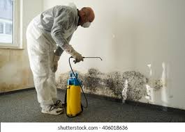 Best Mold Removal for HVAC Installations  in Florence, CO